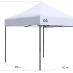 Express tent 3x3